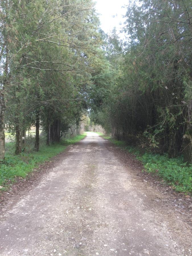 Quinta De Coalhos Th Villa Abrantes Eksteriør billede